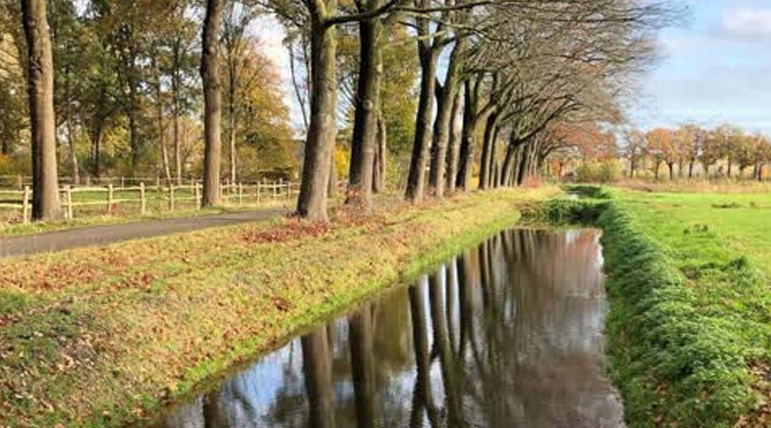 Ecologische verbindingszone Schijndelse- en Molenheideloop